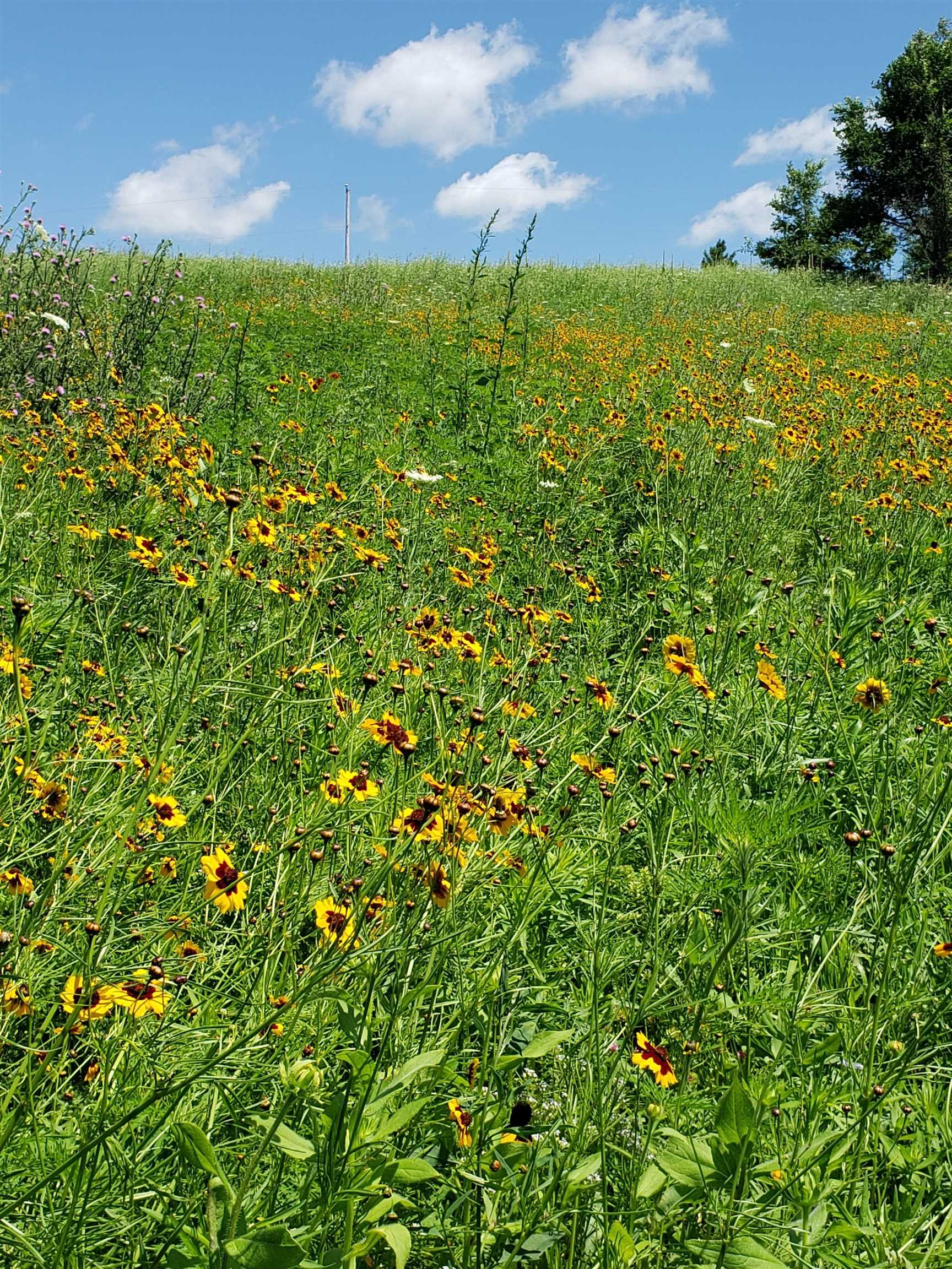 L2 N Hay Hollow Road