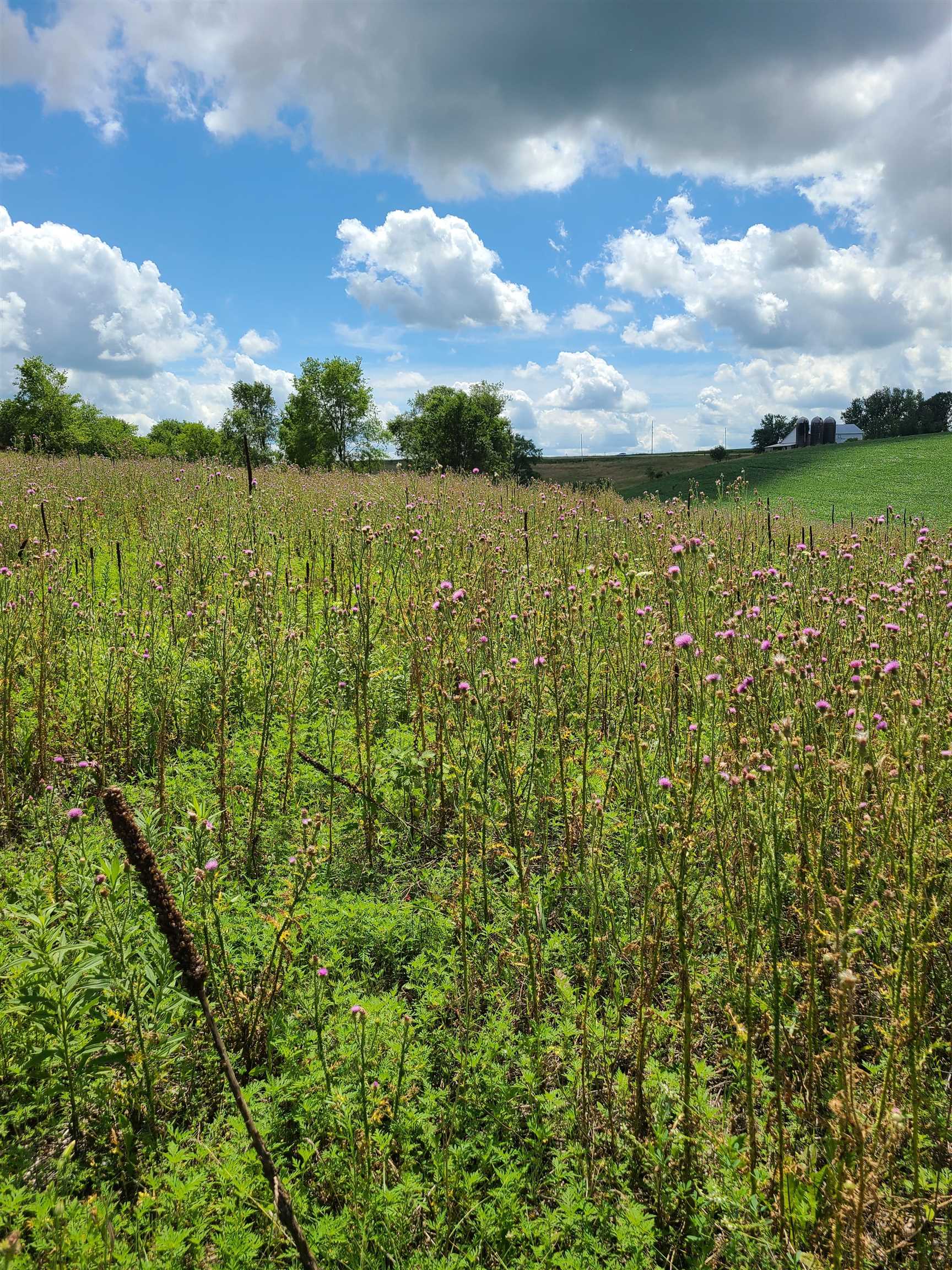 L2 N Hay Hollow Road