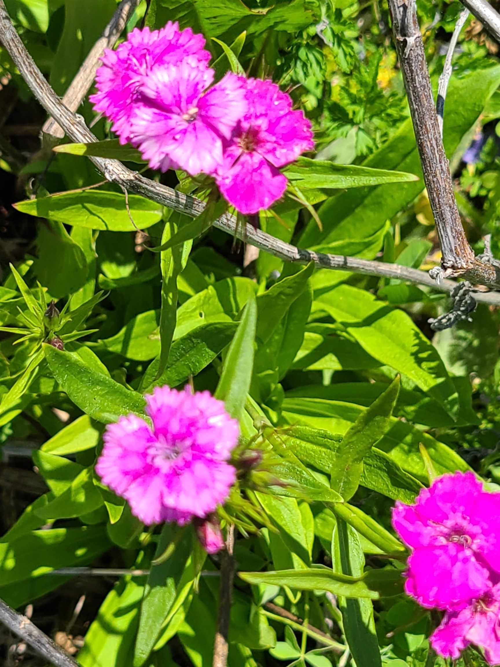 L2 N Hay Hollow Road