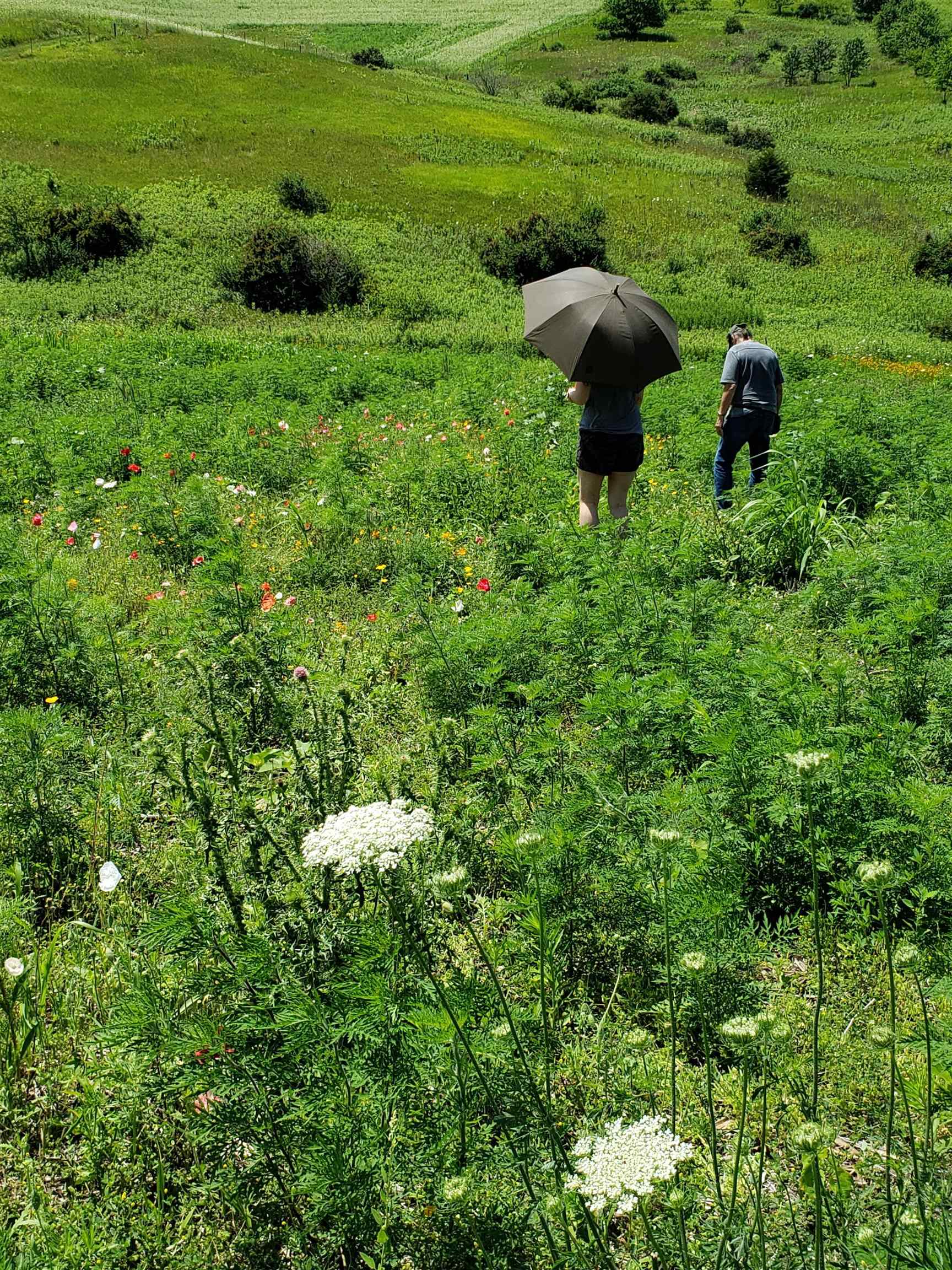 L2 N Hay Hollow Road