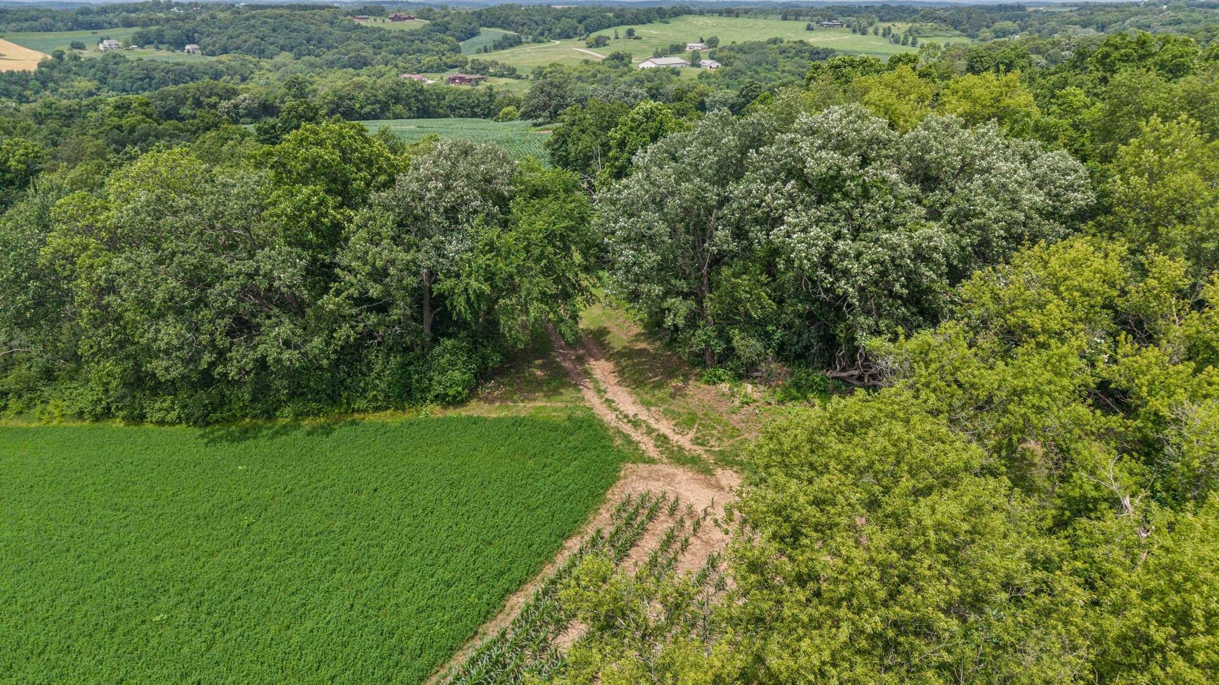146 +/- Acres Otto Kerl Road