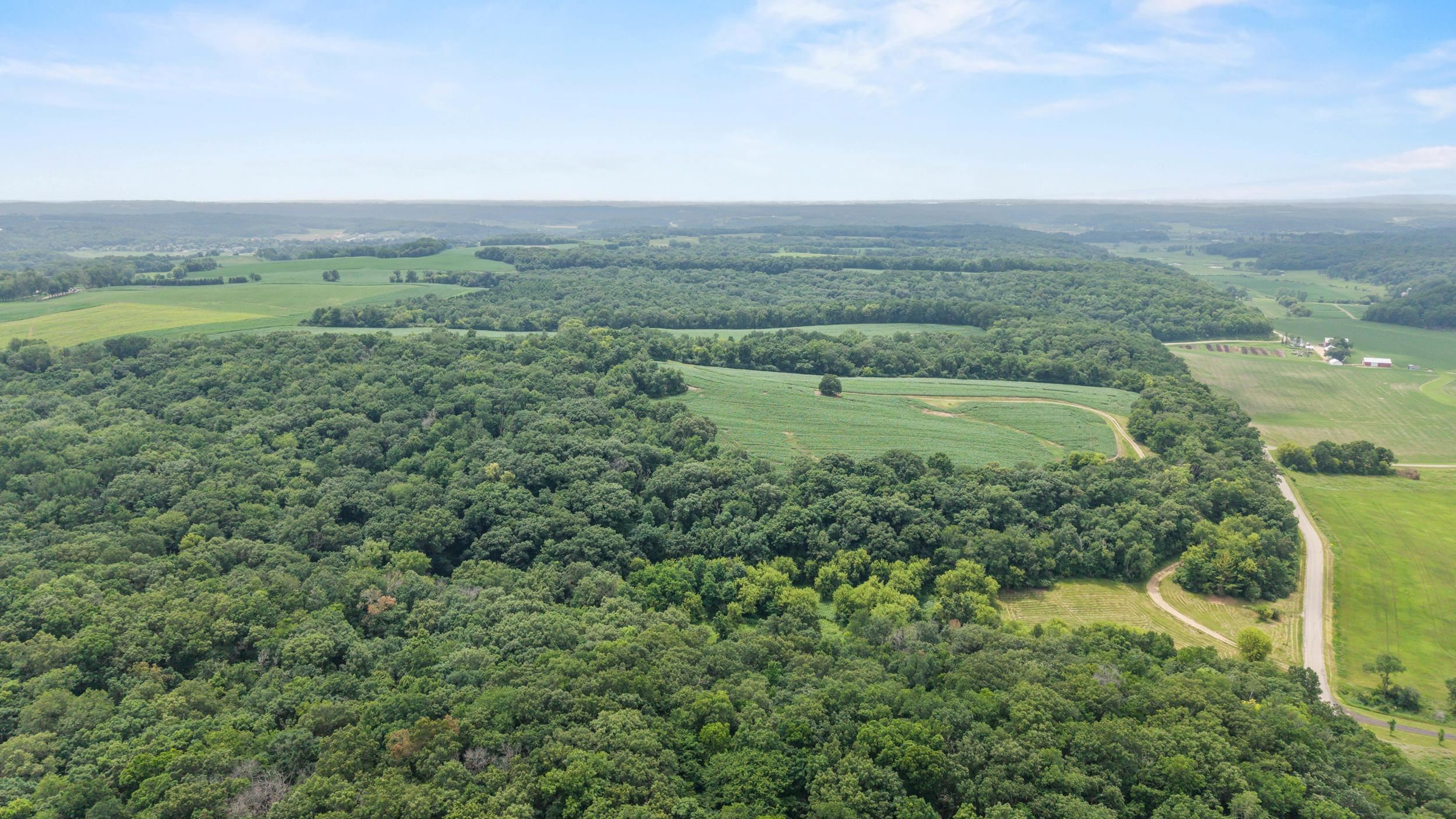 146 +/- Acres Otto Kerl Road