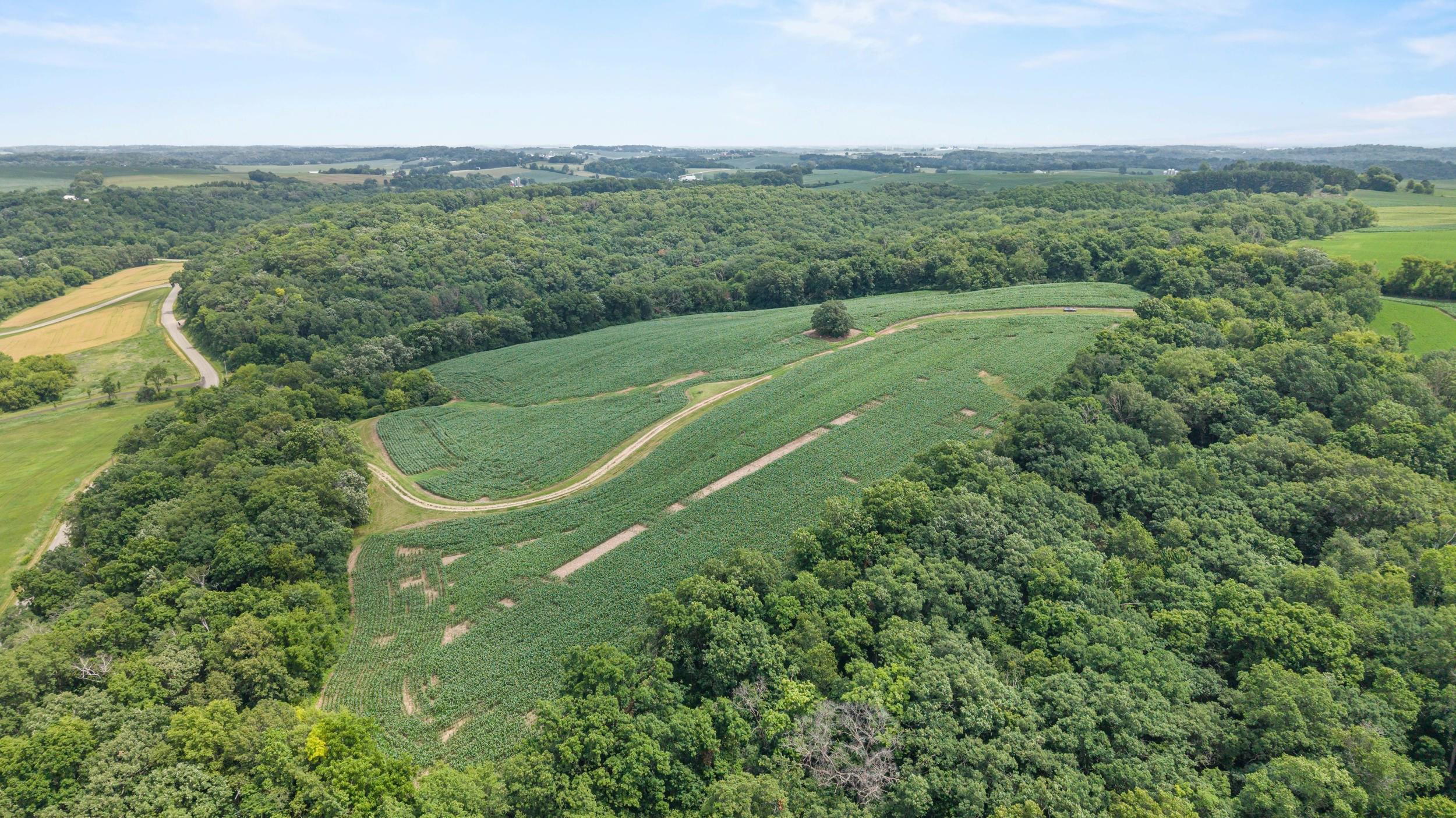 146 +/- Acres Otto Kerl Road