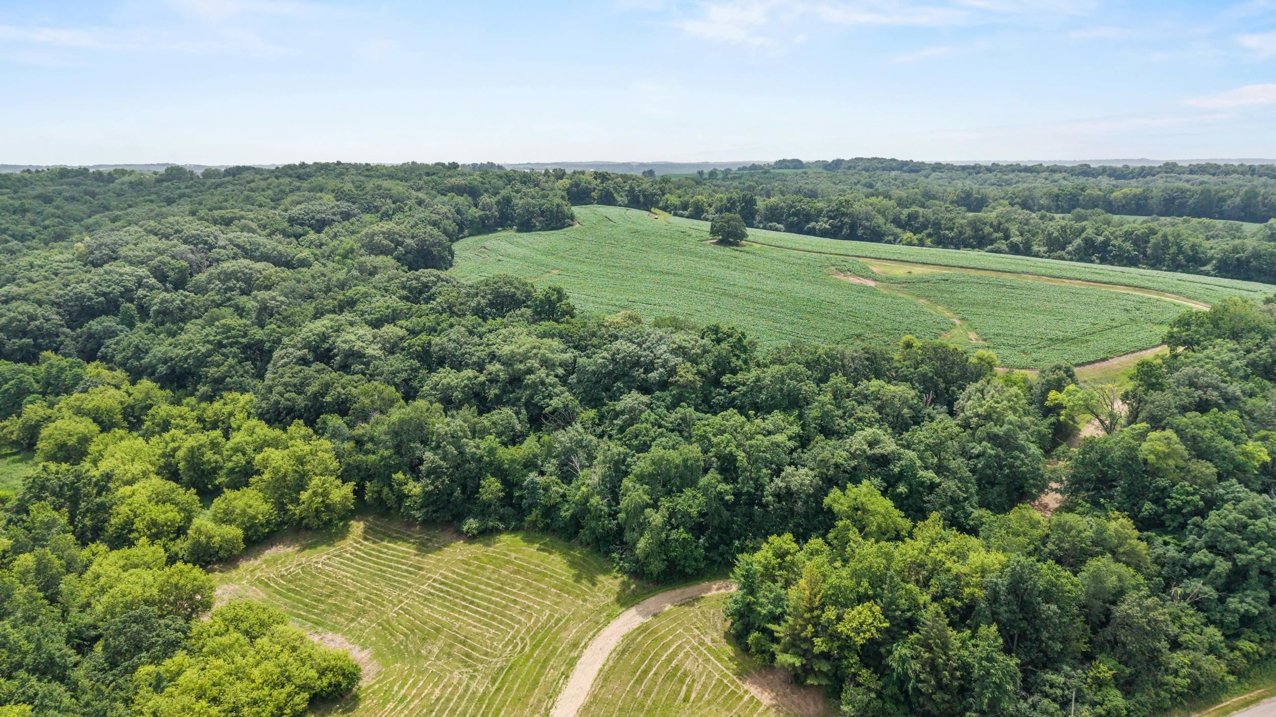 146 +/- Acres Otto Kerl Road