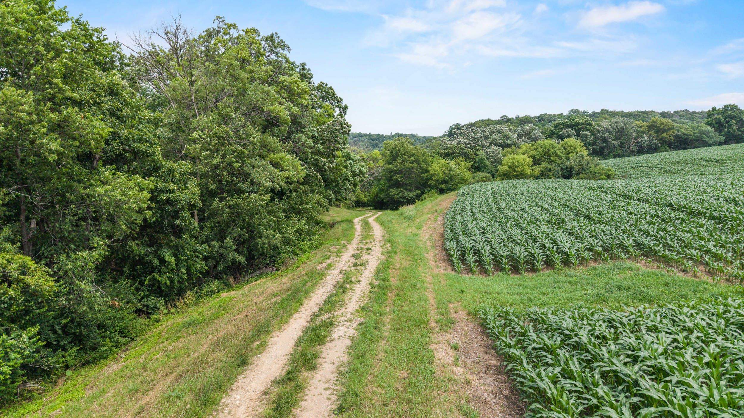 146 +/- Acres Otto Kerl Road