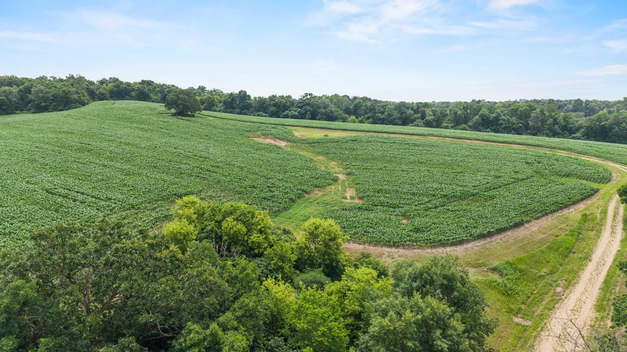 146 +/- Acres Otto Kerl Road