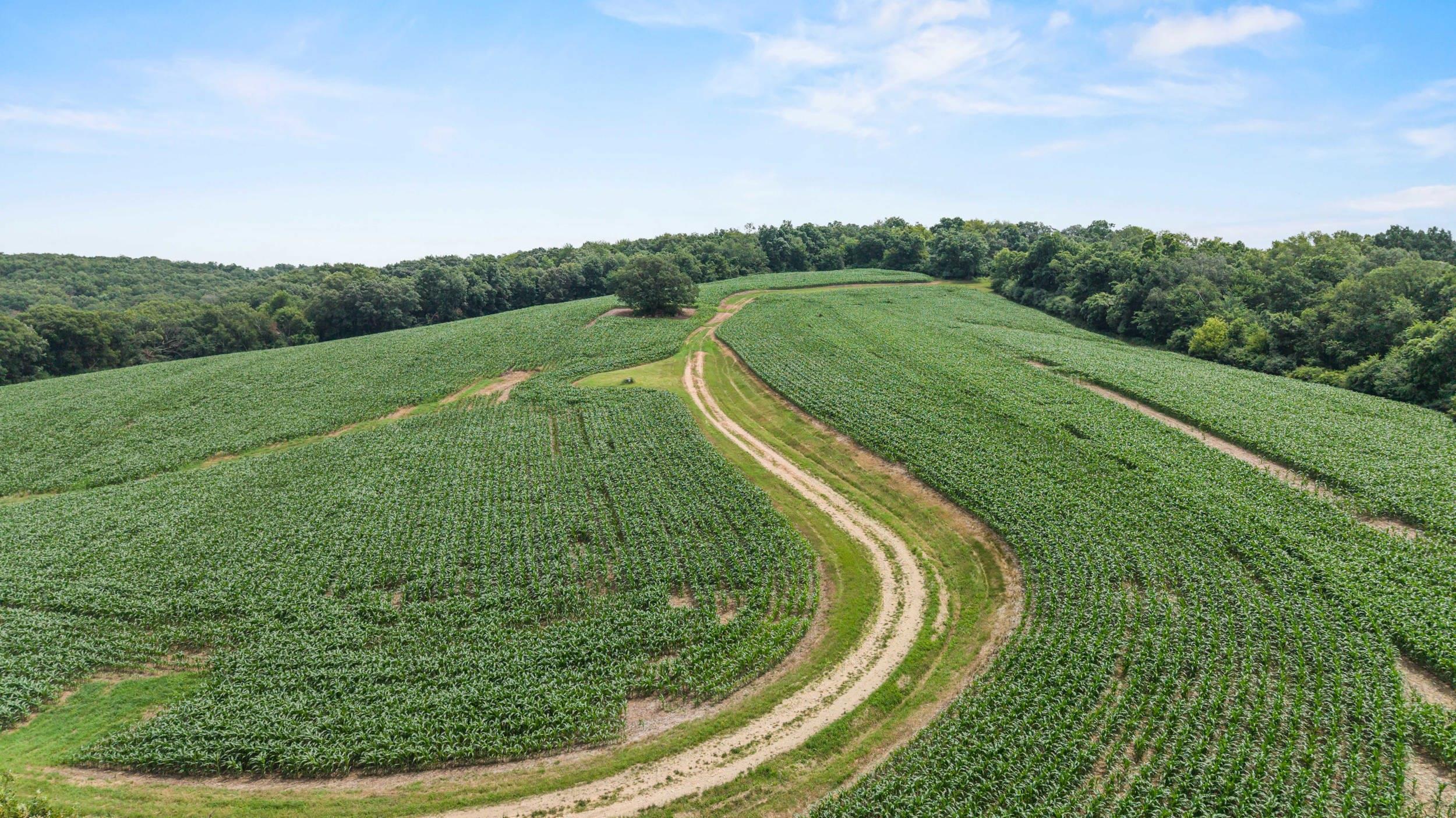 146 +/- Acres Otto Kerl Road
