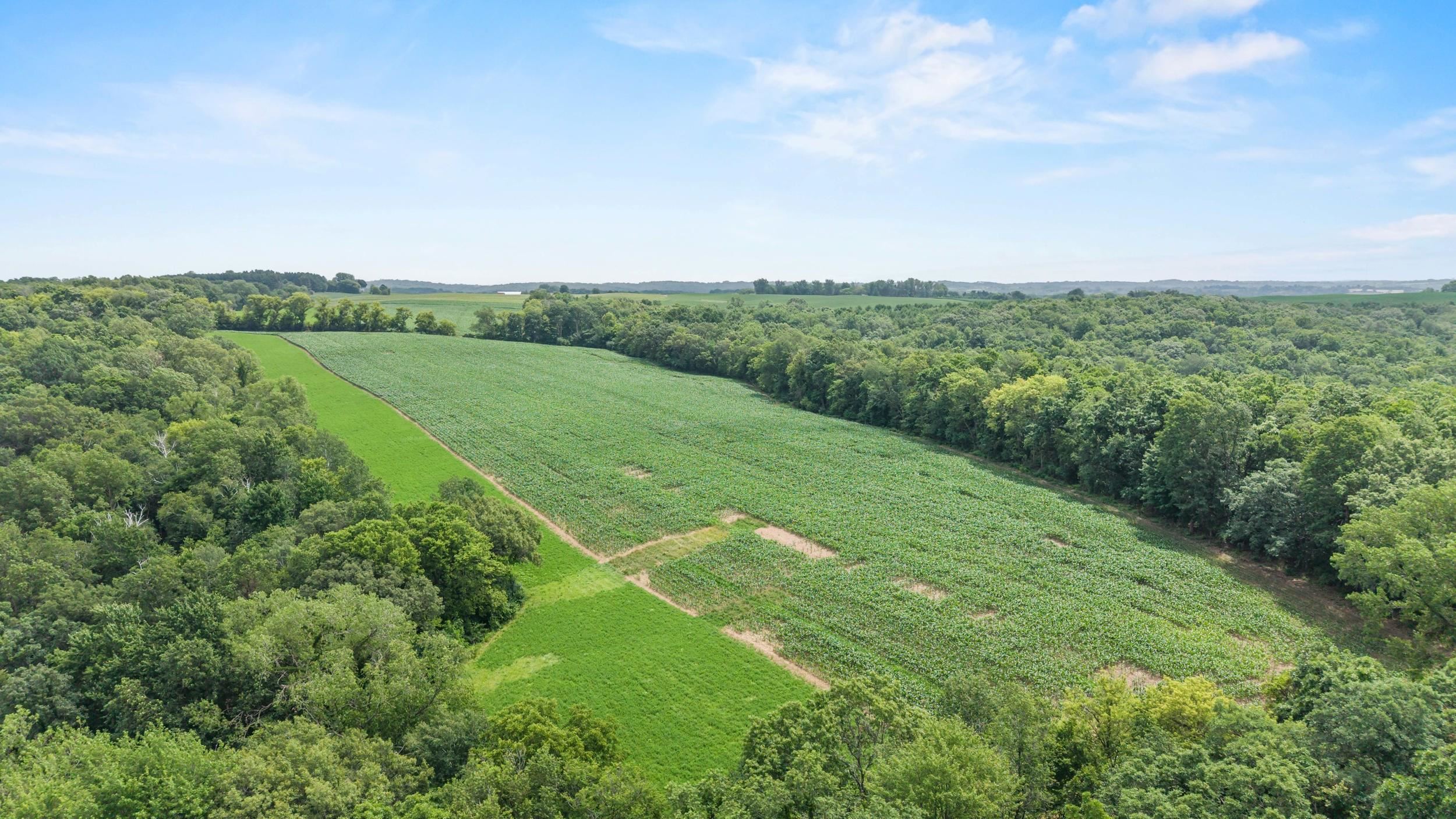 146 +/- Acres Otto Kerl Road
