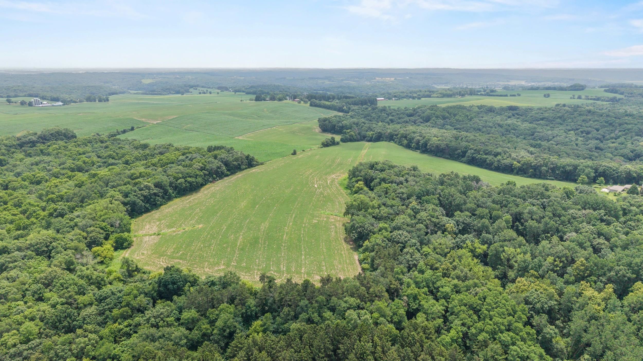 146 +/- Acres Otto Kerl Road