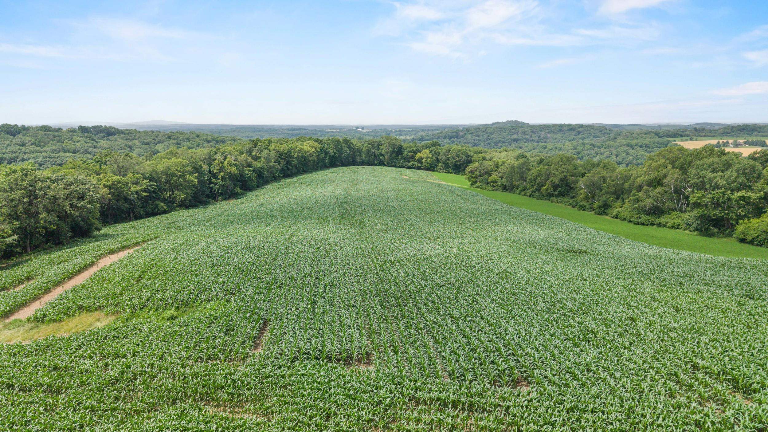 146 +/- Acres Otto Kerl Road