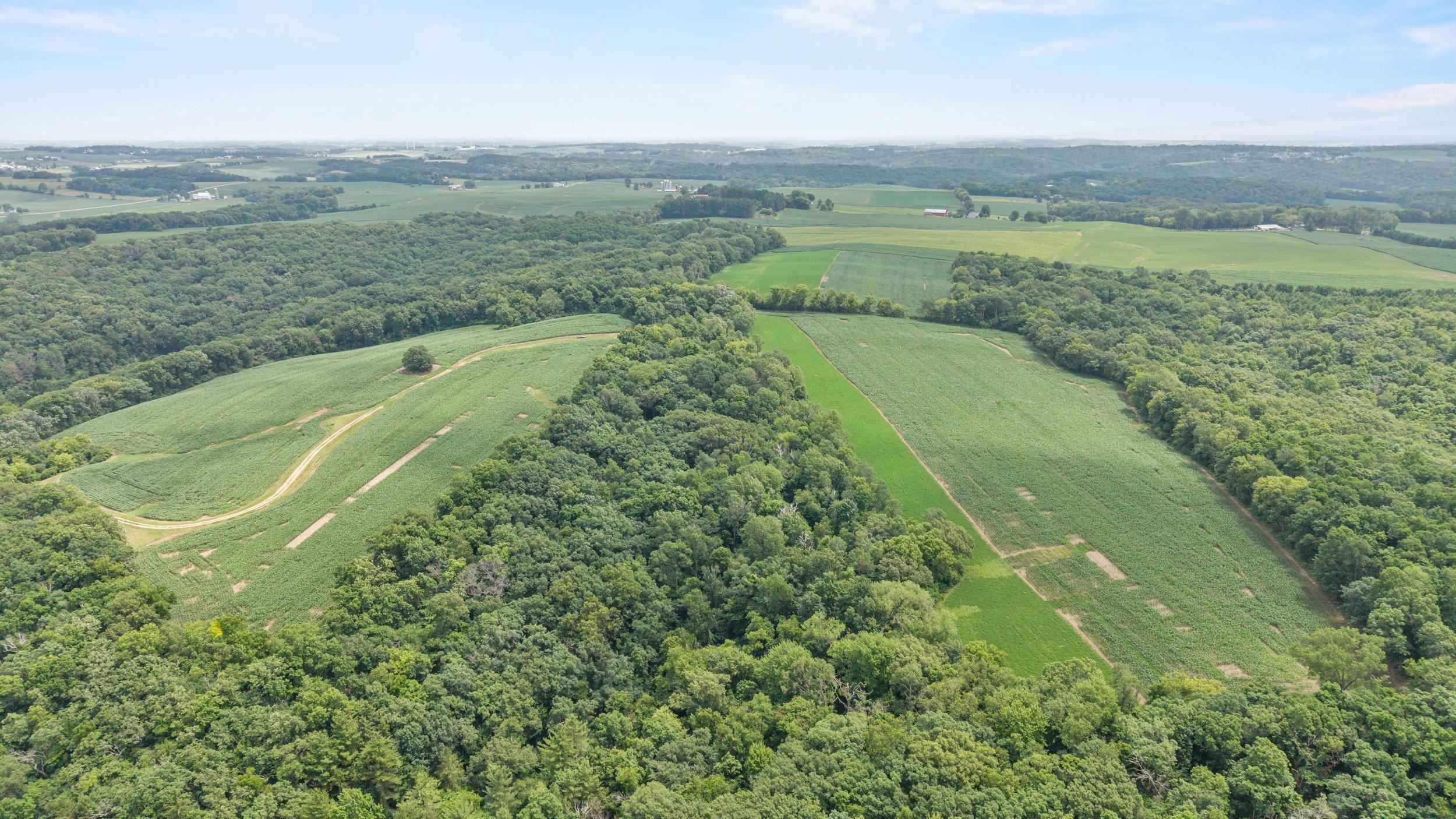 146 +/- Acres Otto Kerl Road
