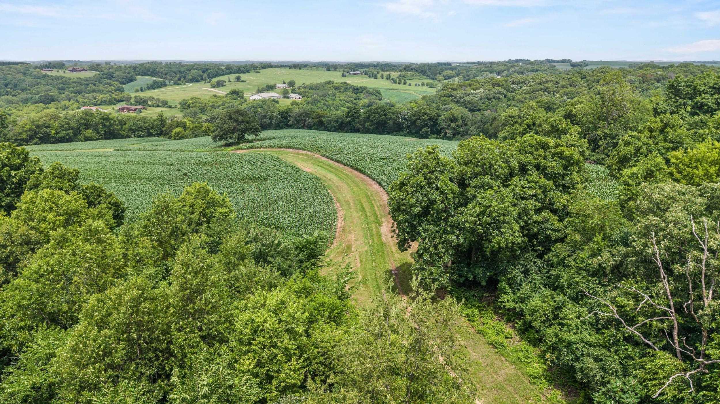 146 +/- Acres Otto Kerl Road
