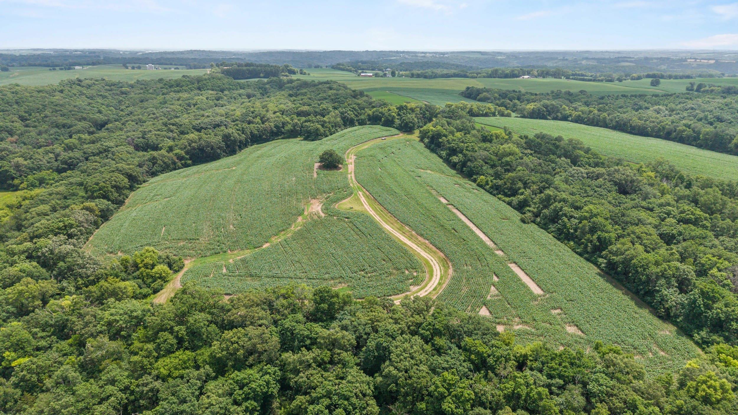 146 +/- Acres Otto Kerl Road