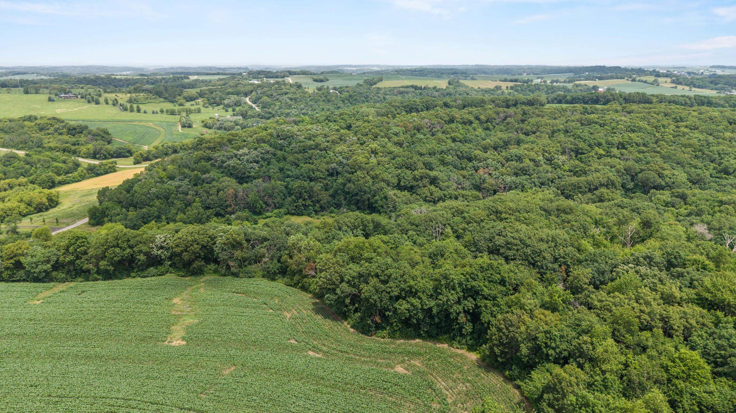146 +/- Acres Otto Kerl Road