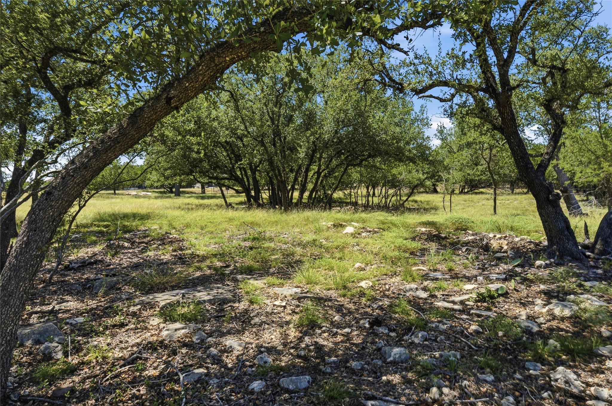365 Joya DR