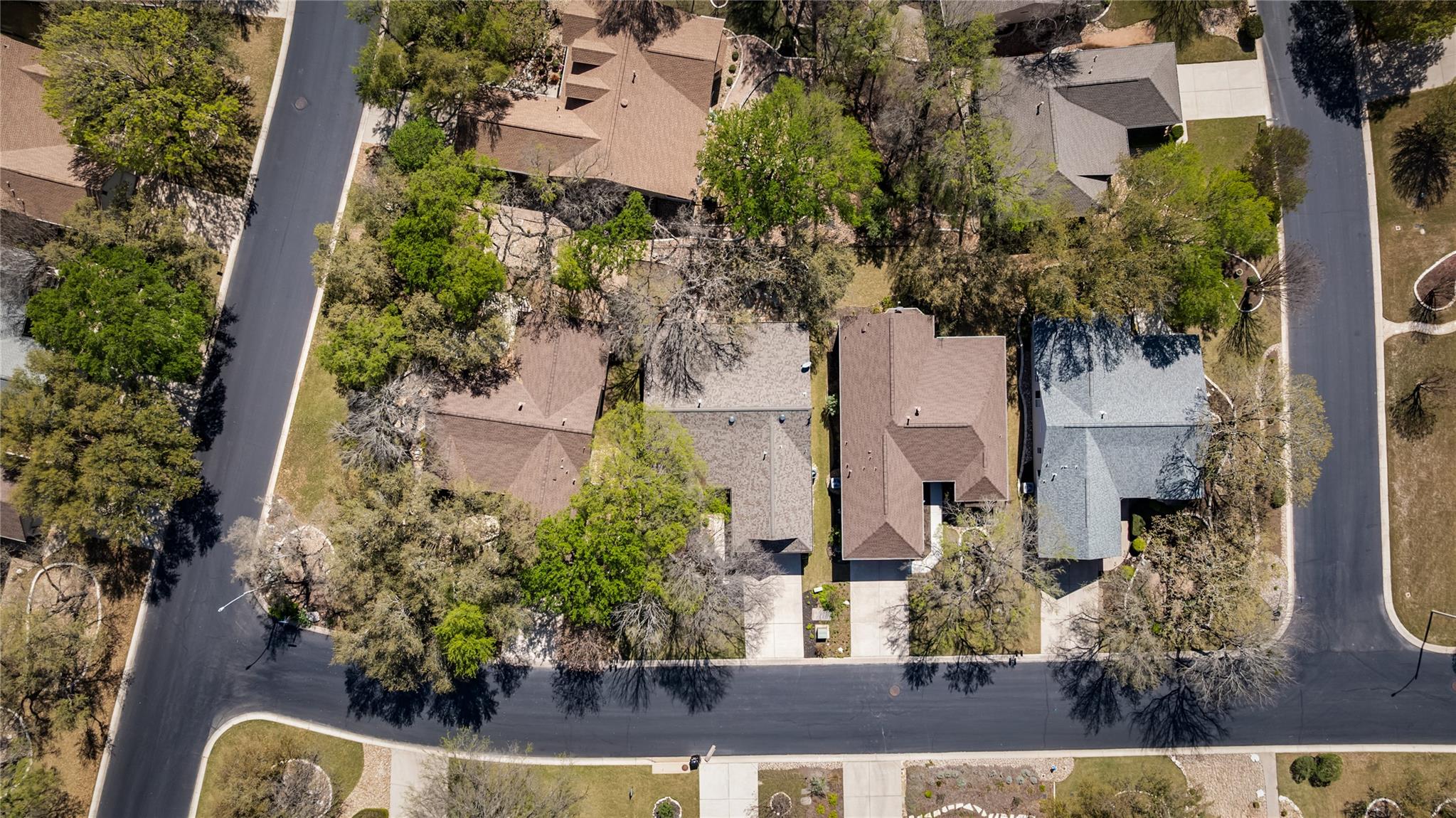 103 Harness LN