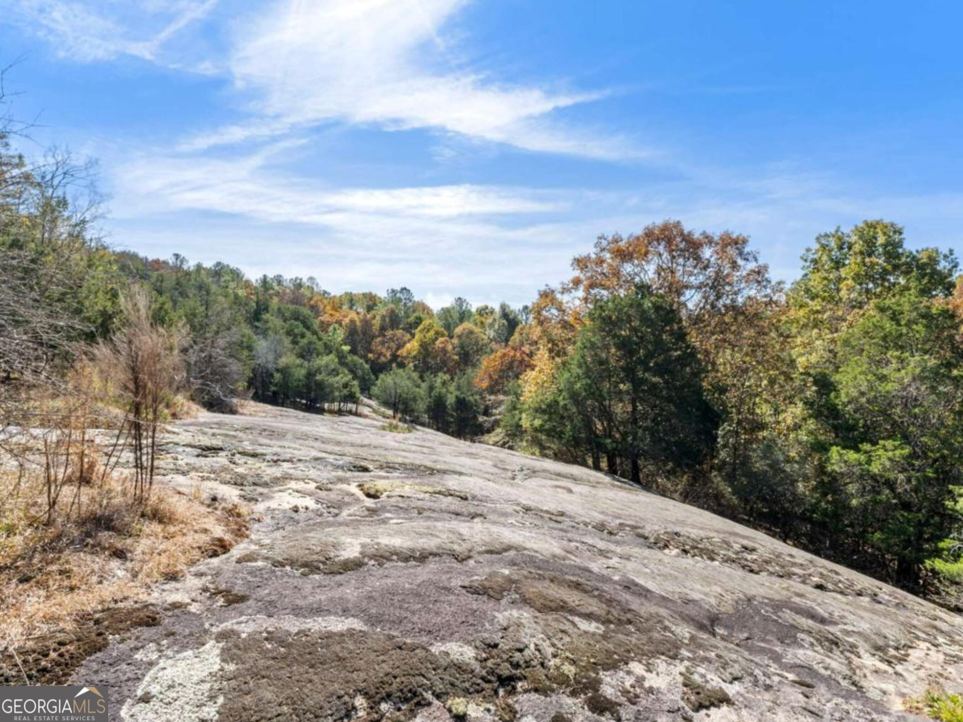 7790 Atlanta Newnan Road