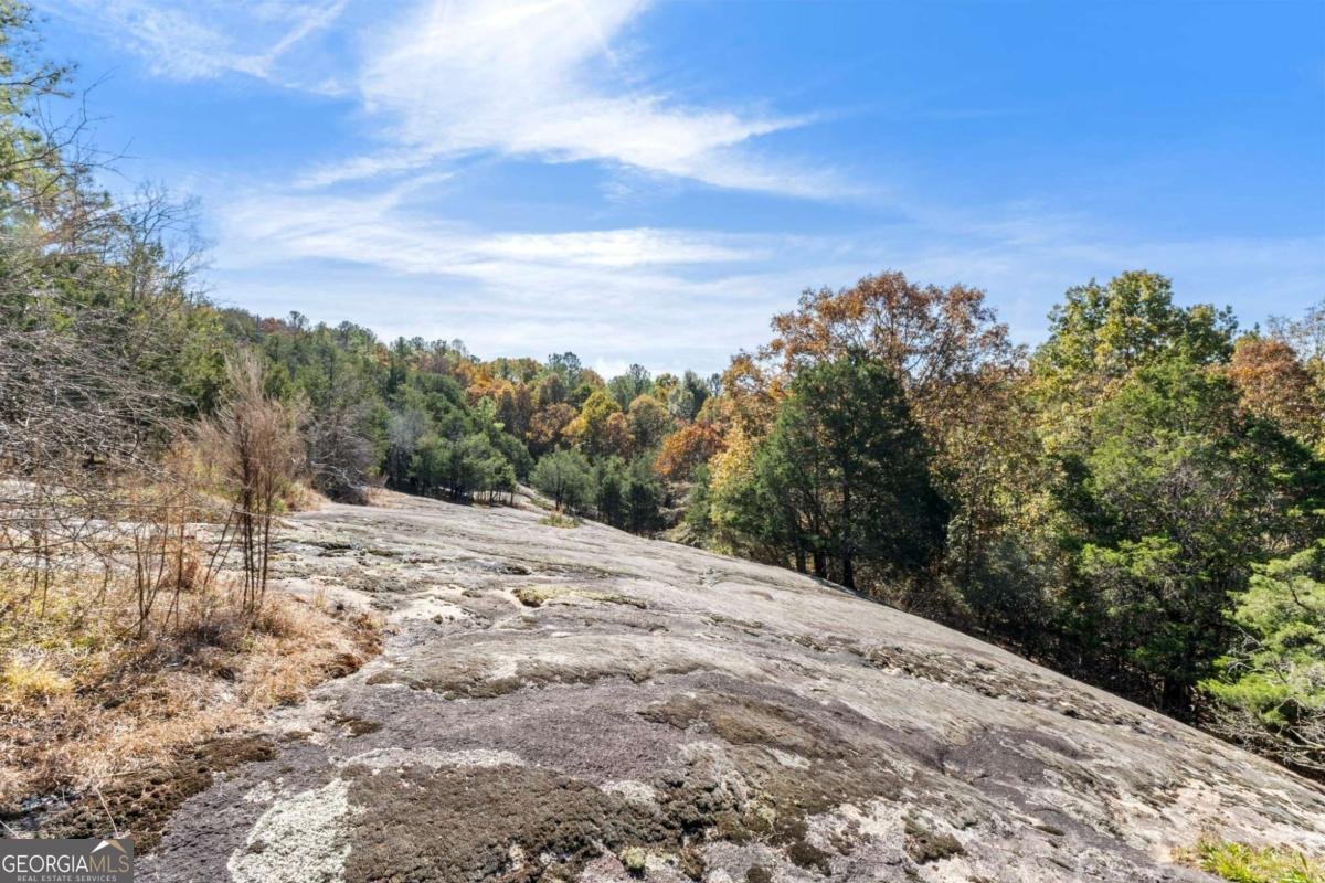 7790 Atlanta Newnan Road