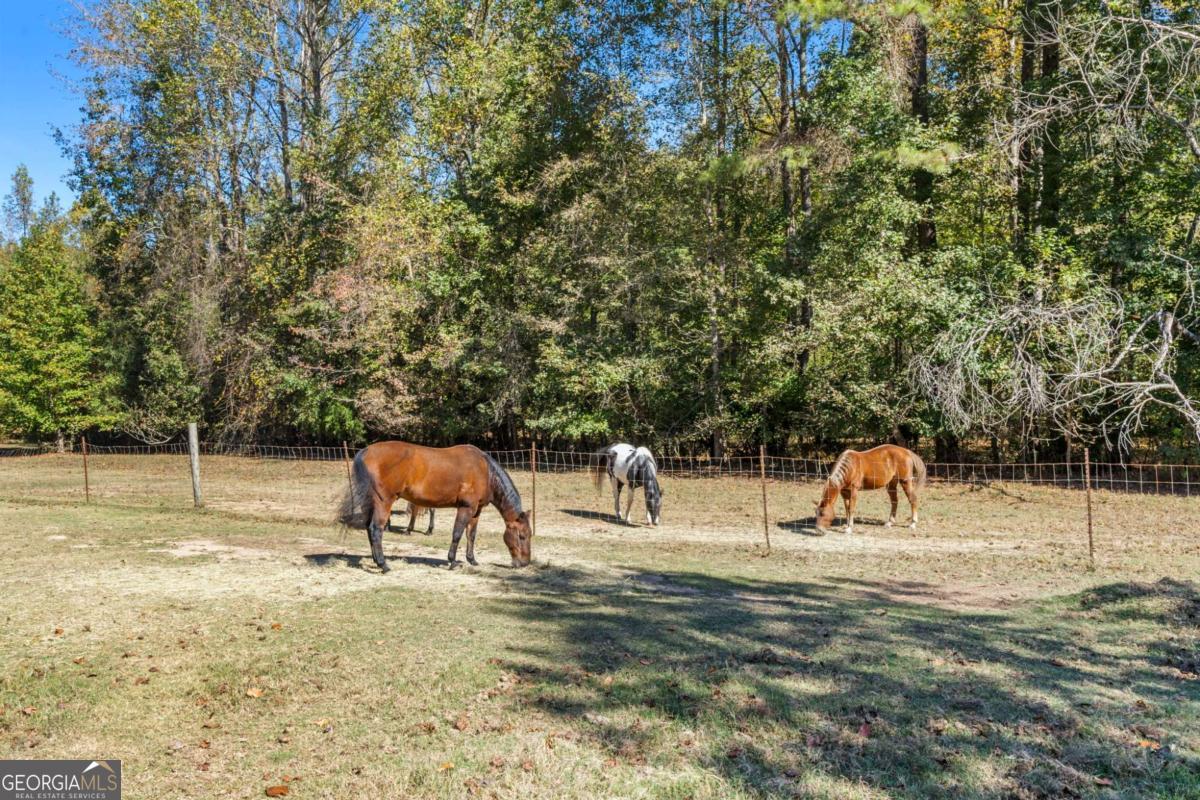 7790 Atlanta Newnan Road