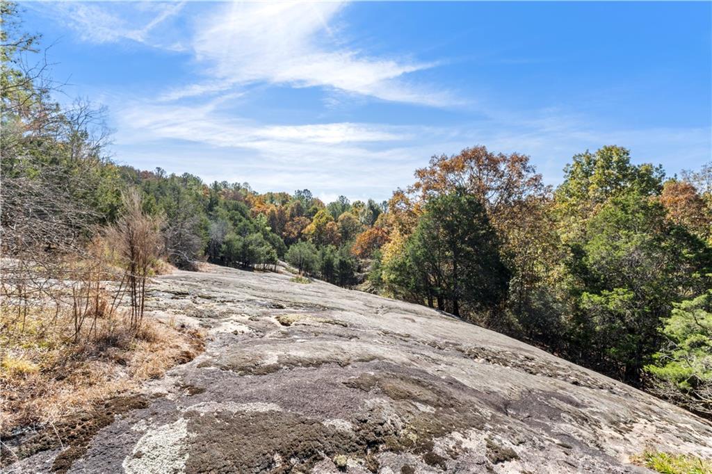 7790 Atlanta Newnan Road