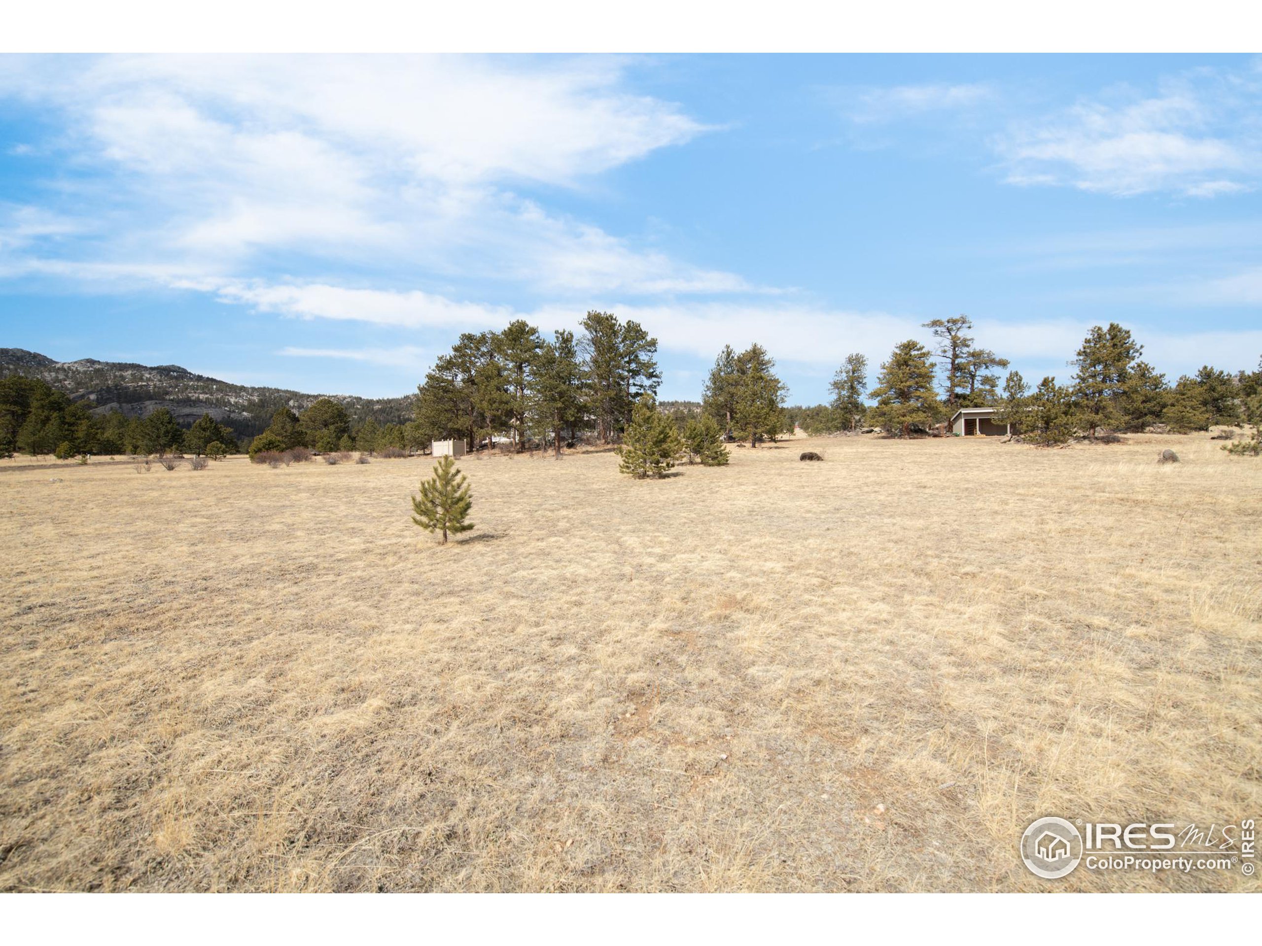 2341 Fallen Leaf Way