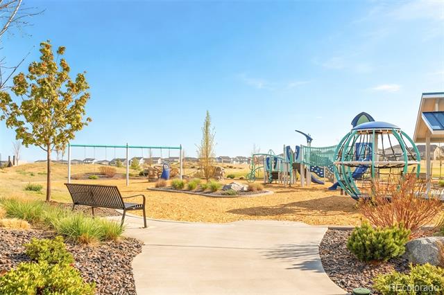 14047 Rock Daisy Street
