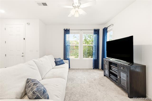 14047 Rock Daisy Street