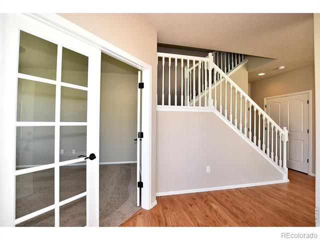2417 Dandelion Lane