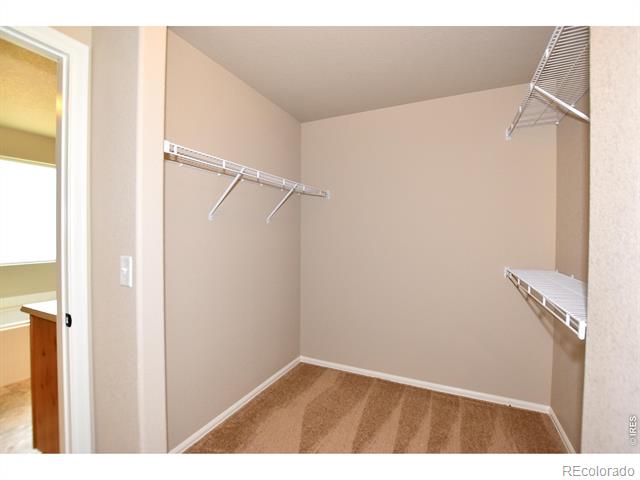 2417 Dandelion Lane