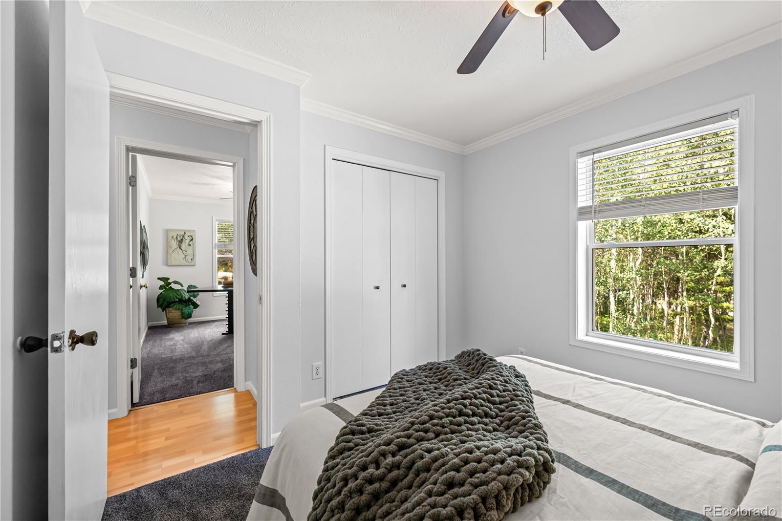 216 Nero Road