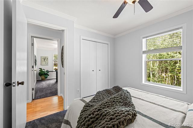 216 Nero Road