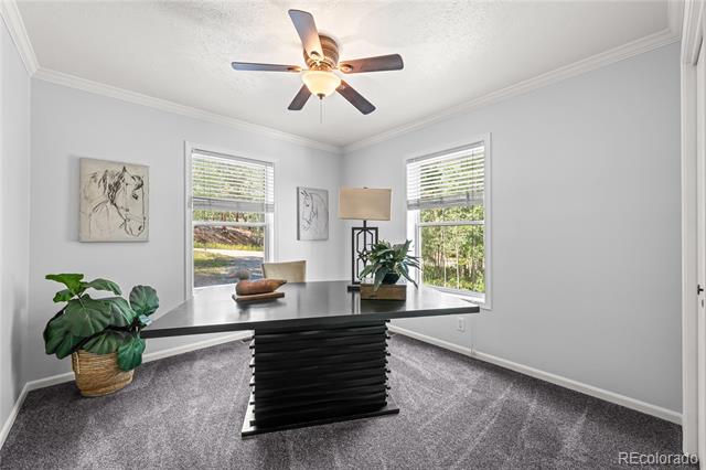 216 Nero Road