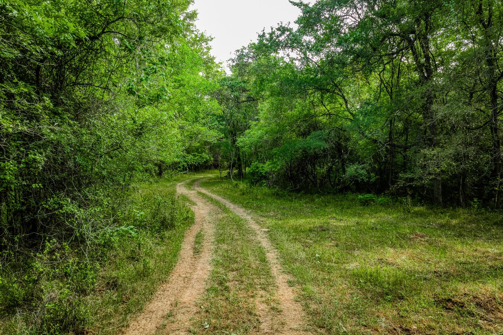196 Willy RD