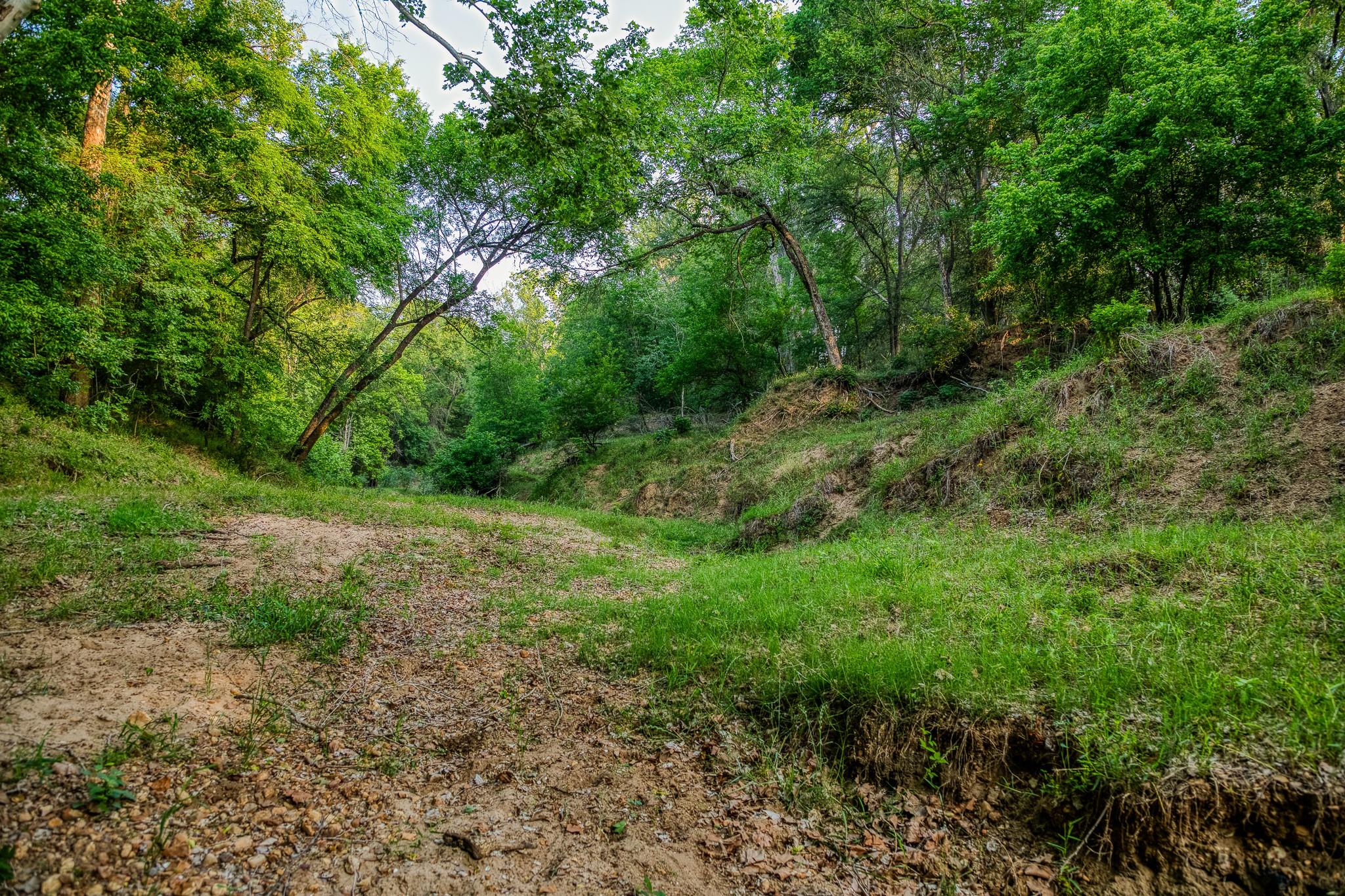 196 Willy RD