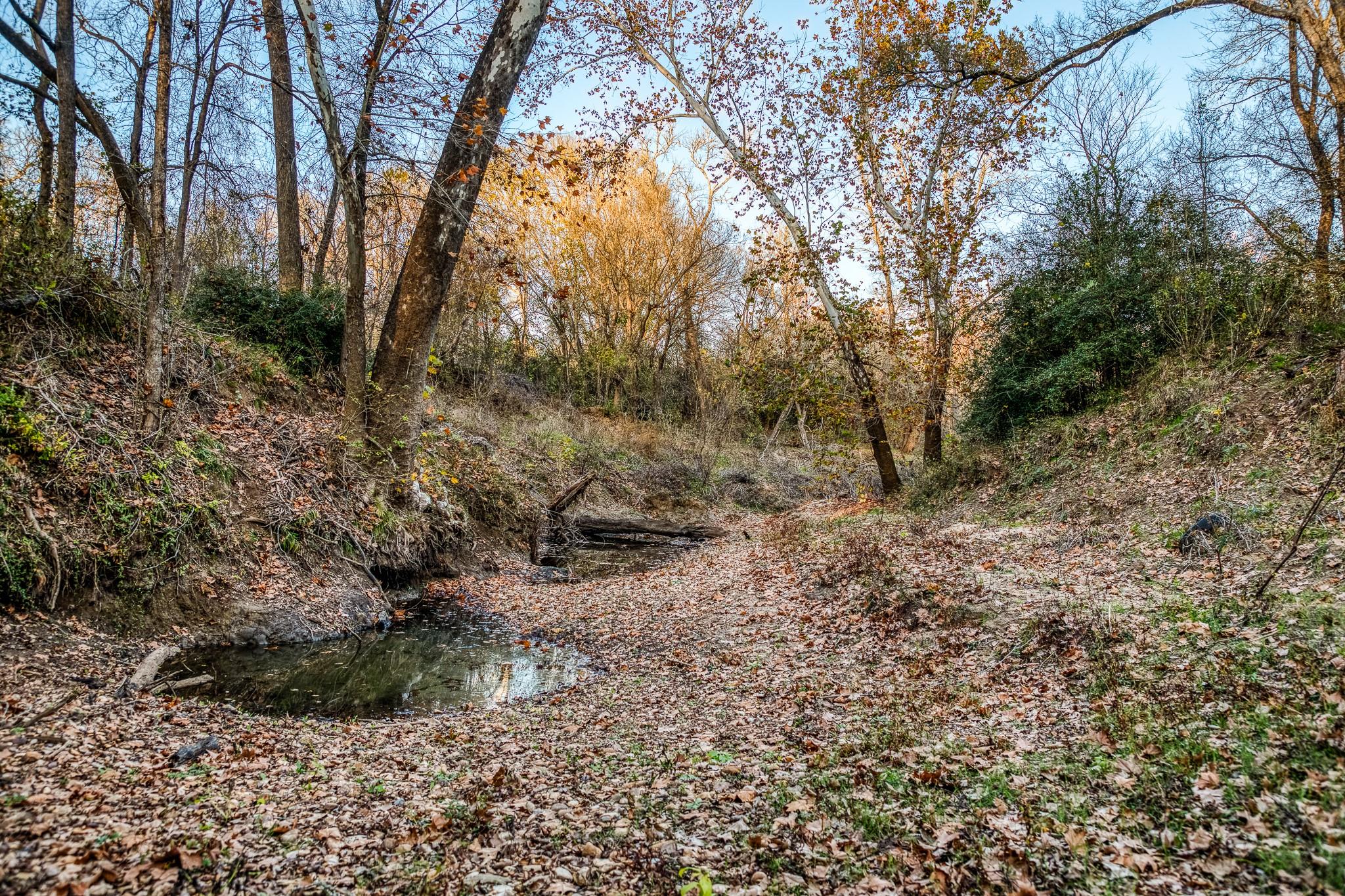 196 Willy RD