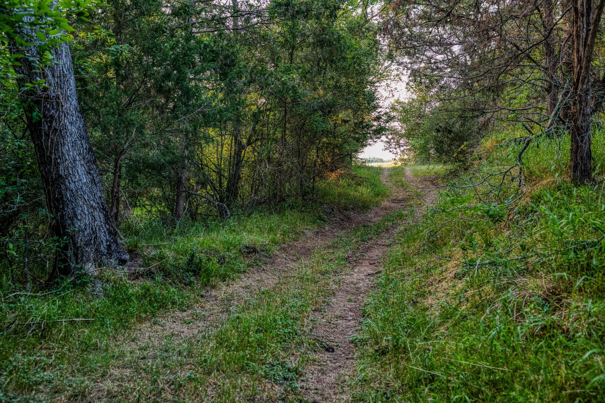 196 Willy RD