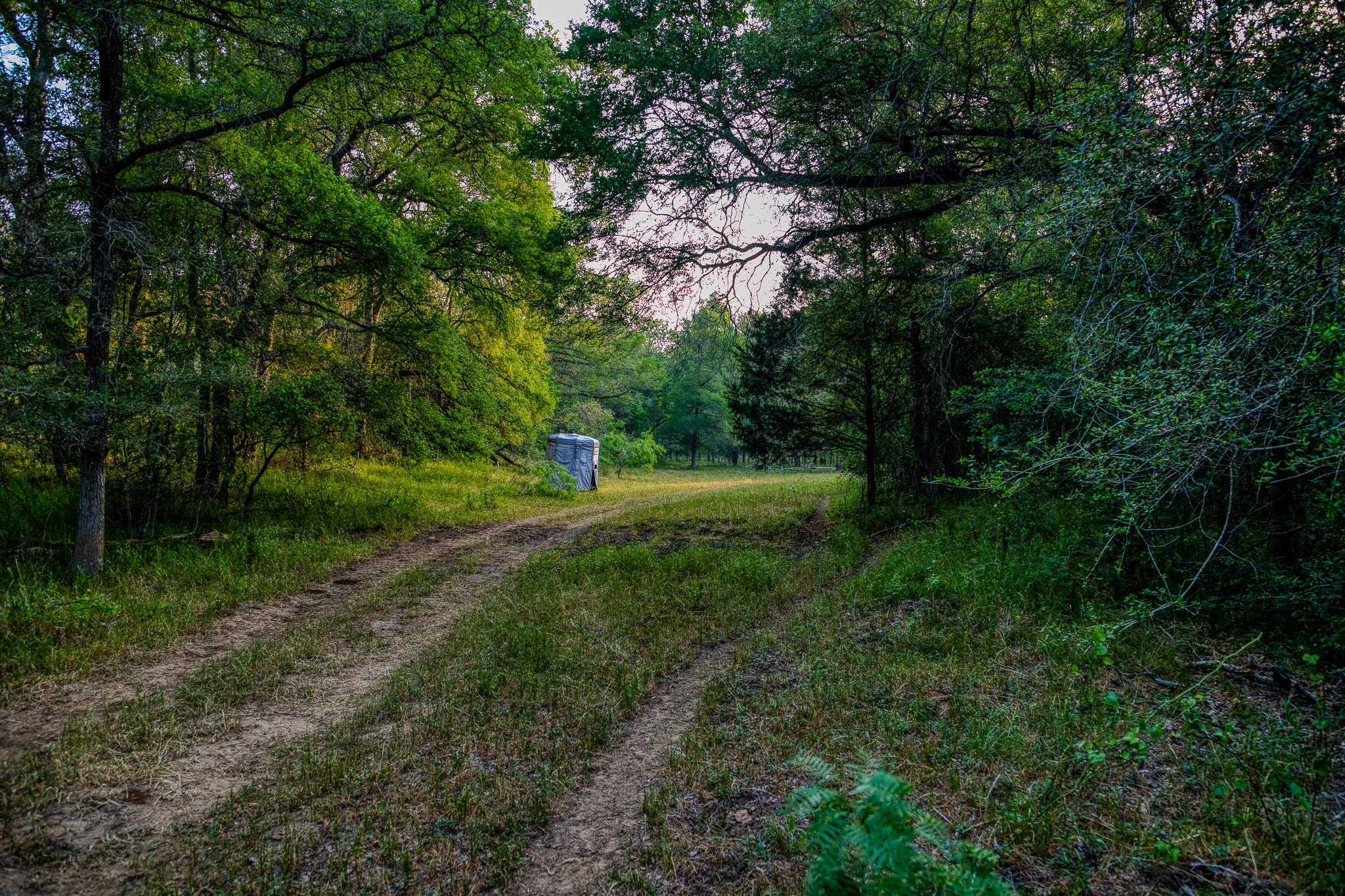 196 Willy RD