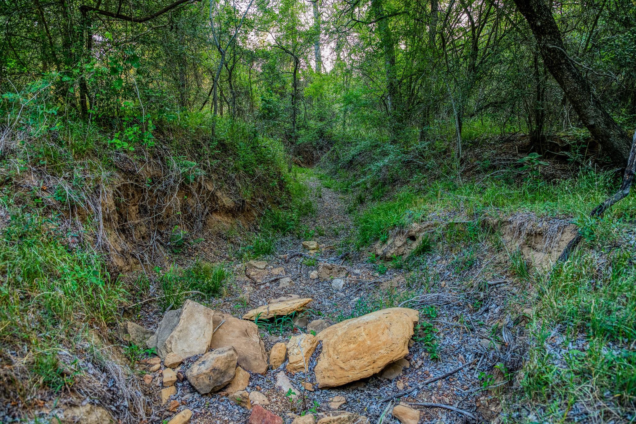196 Willy RD