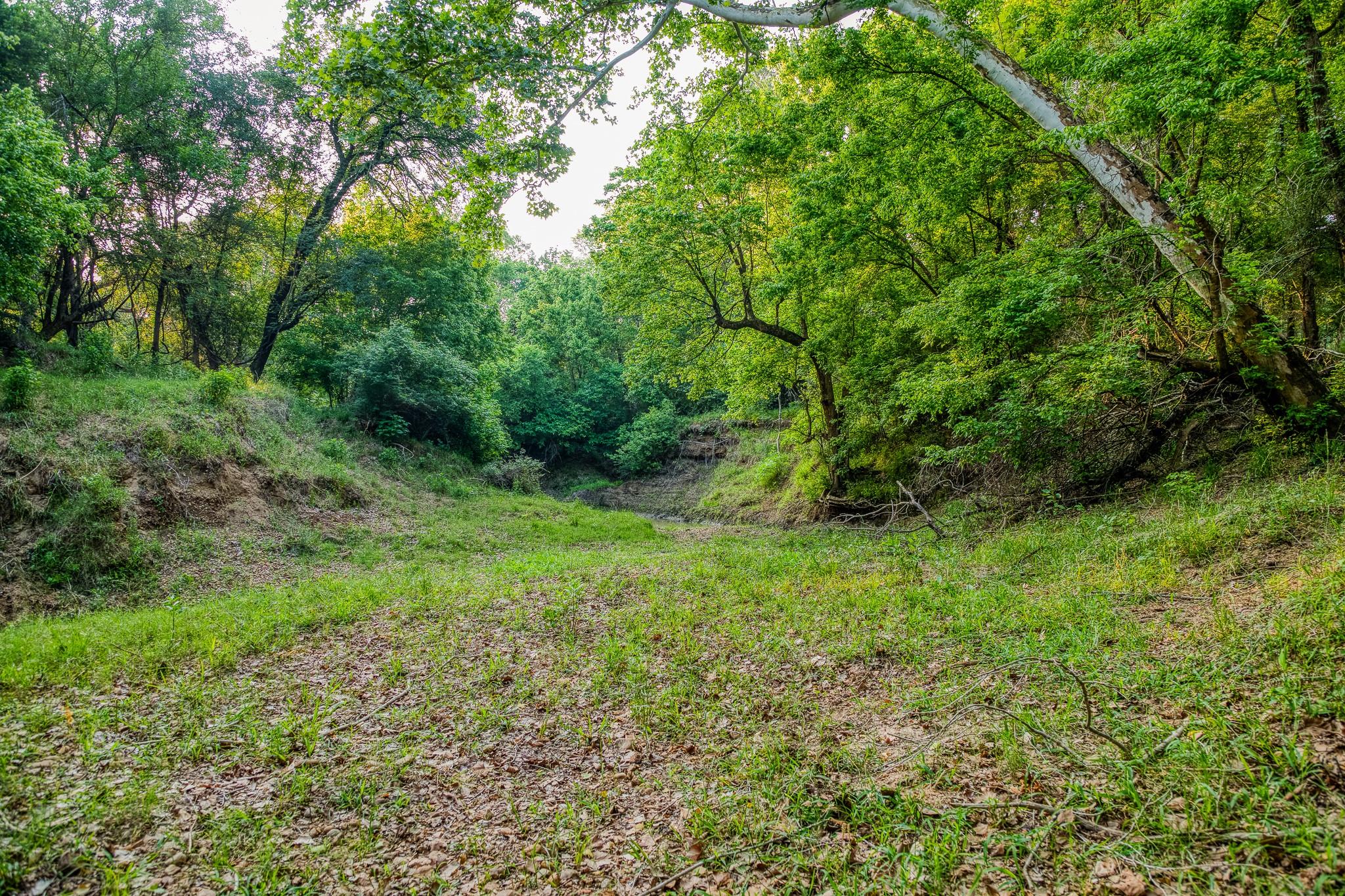 196 Willy RD