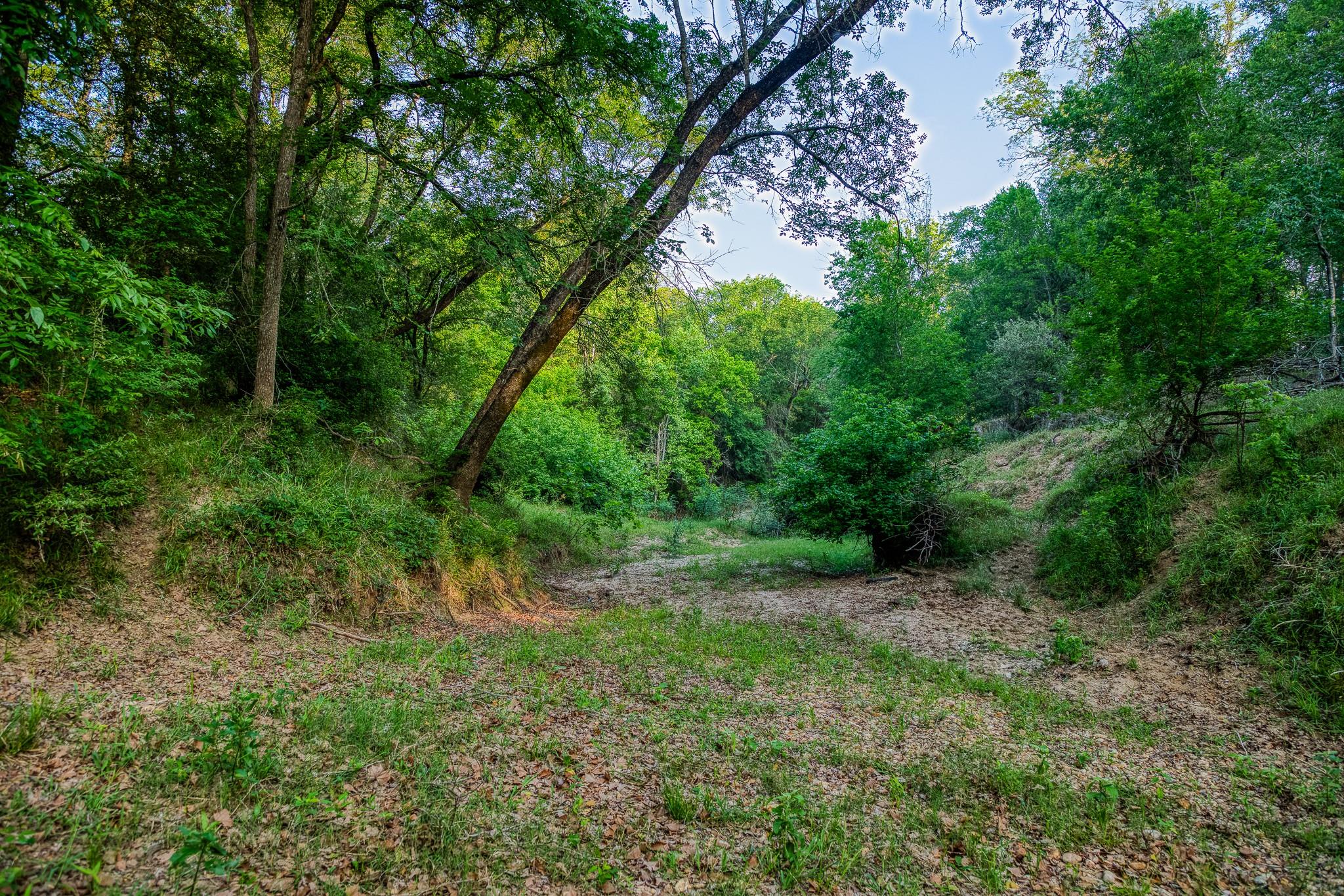 196 Willy RD