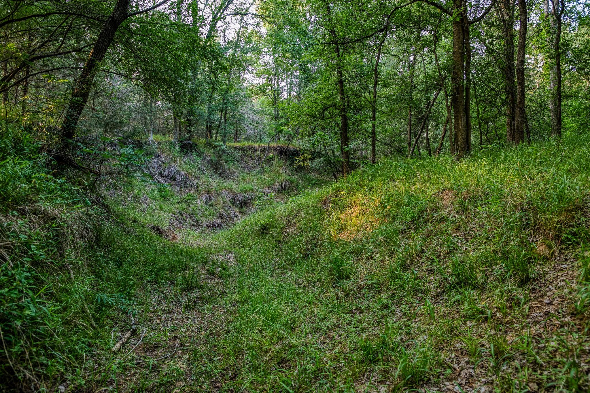 196 Willy RD