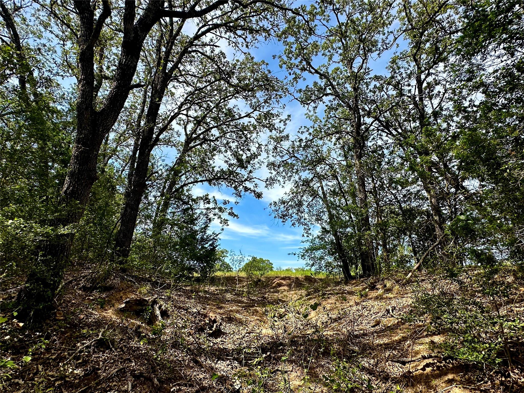 147 Blue Sky DR