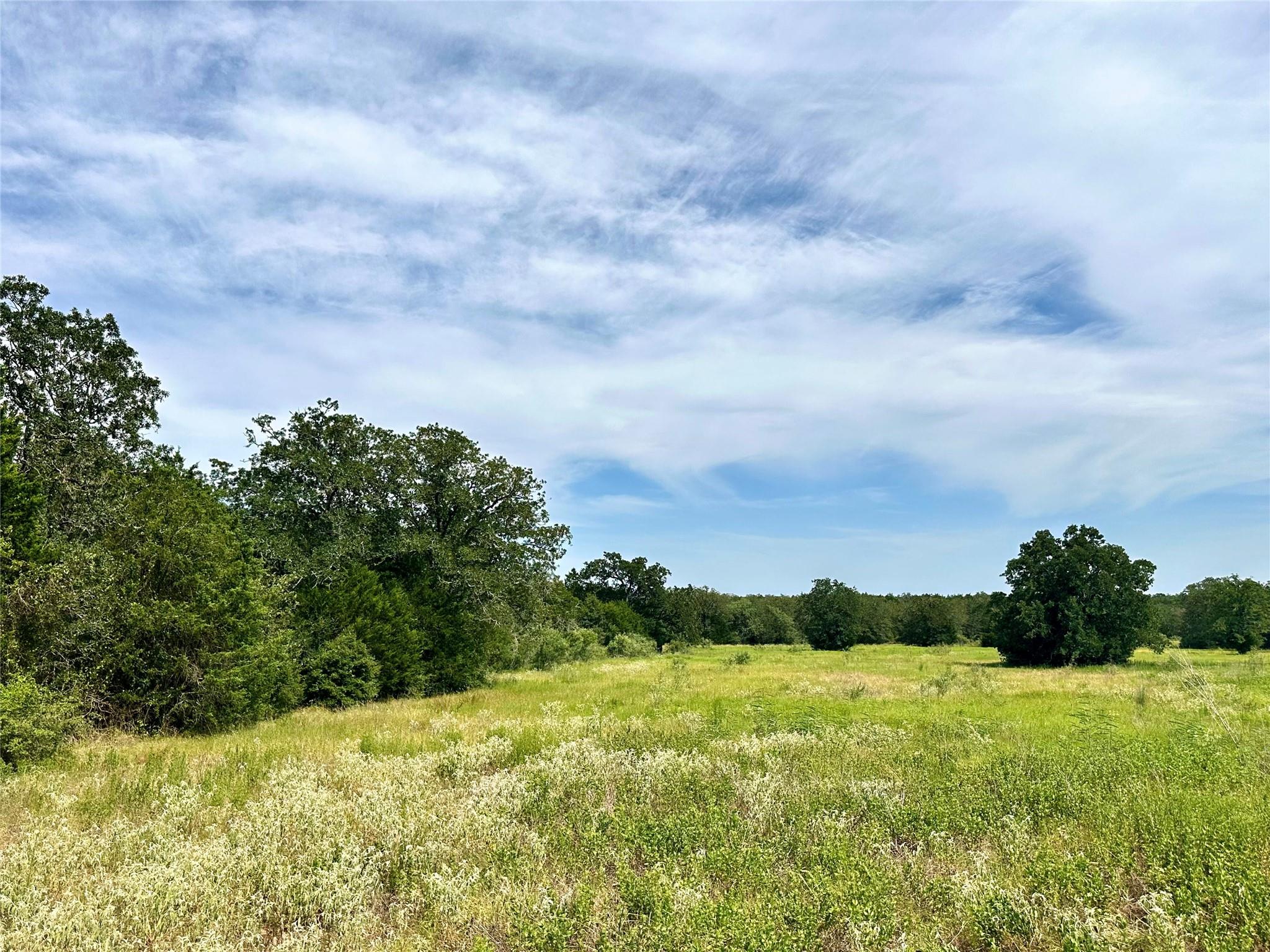 147 Blue Sky DR