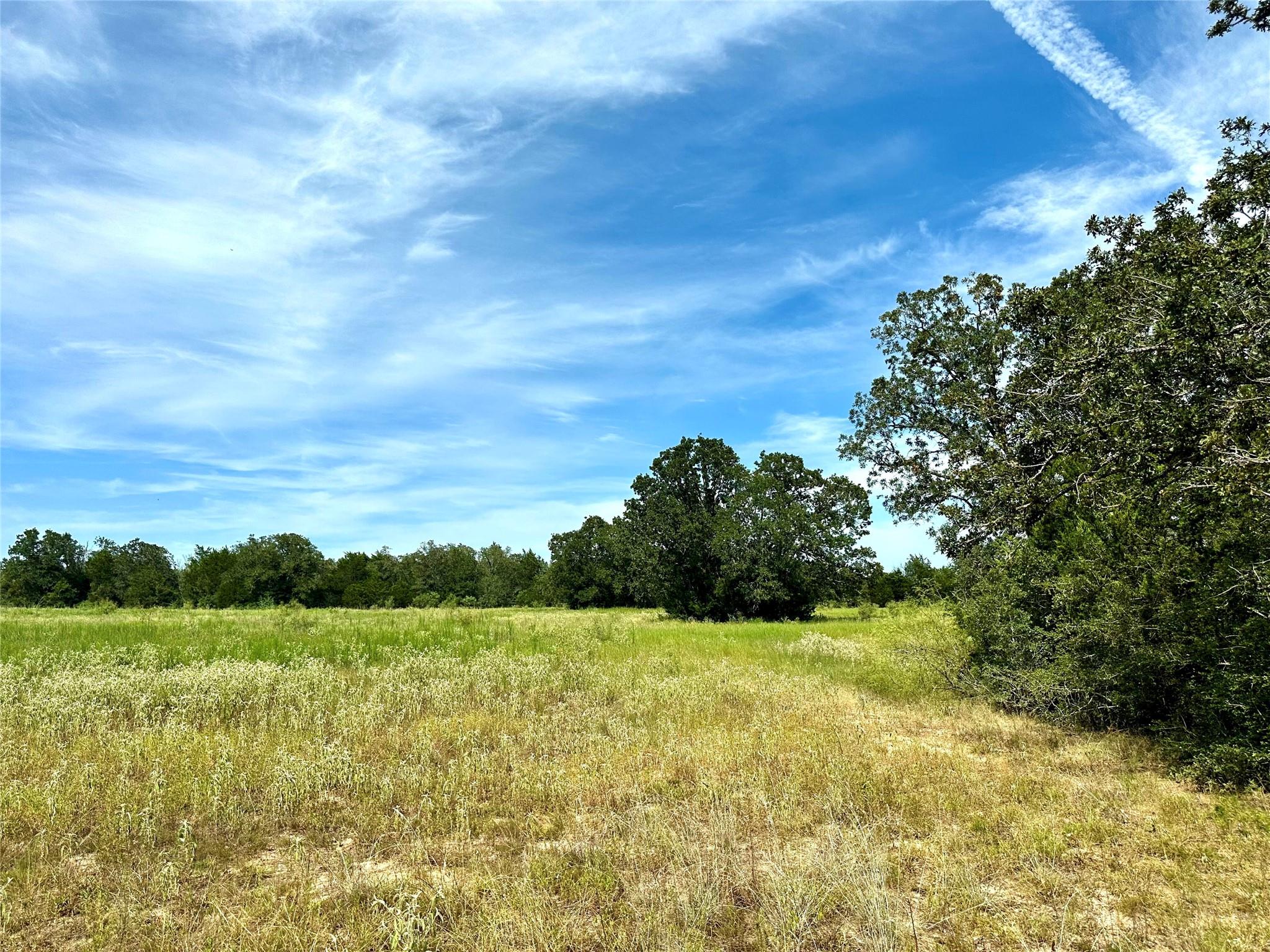 147 Blue Sky DR