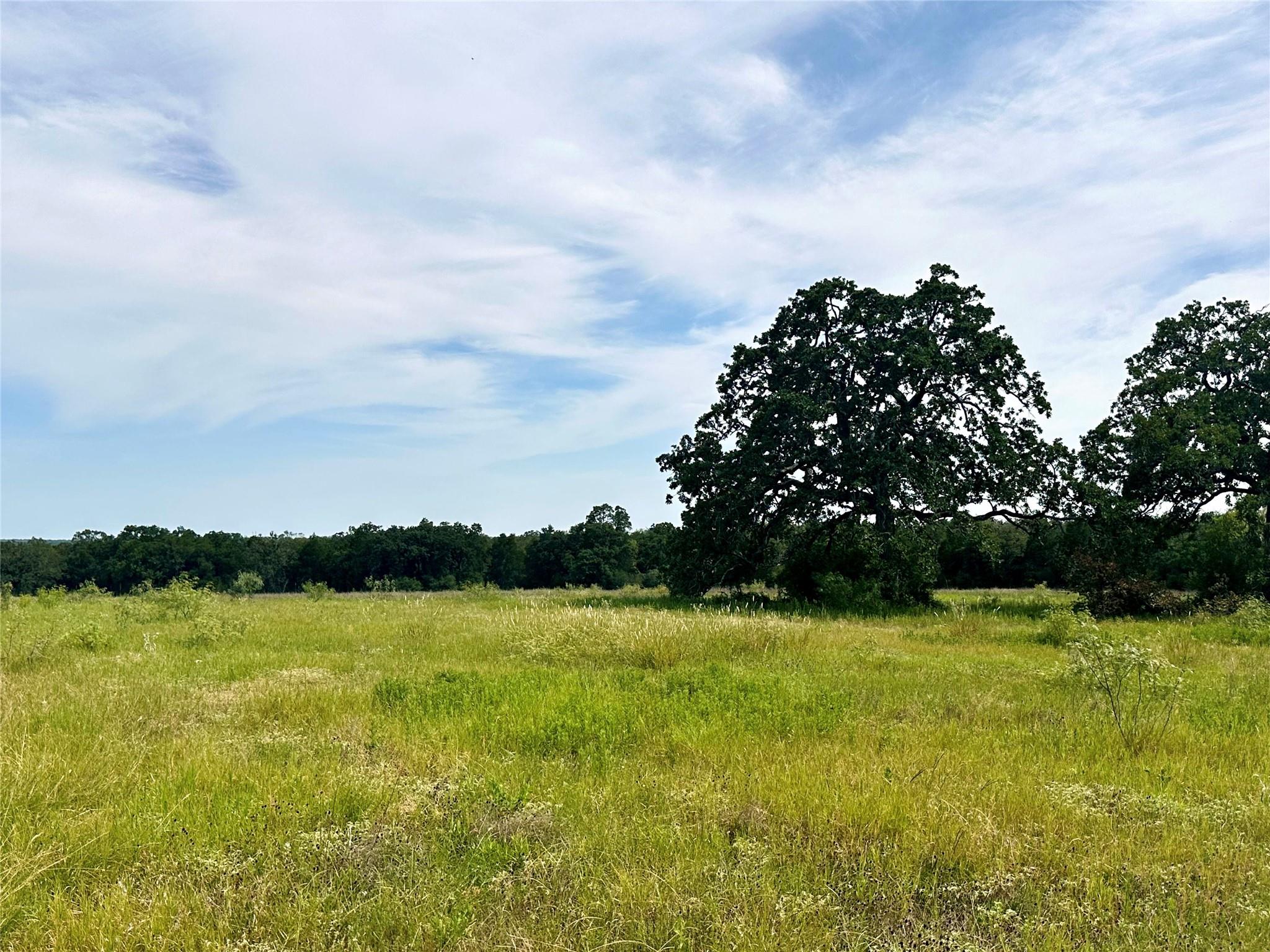 147 Blue Sky DR
