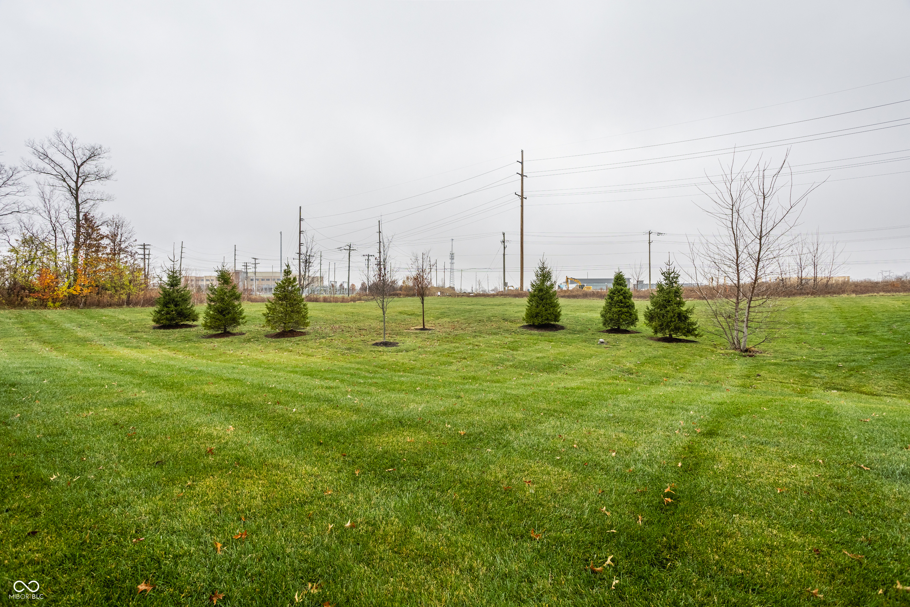 14078 Bay Willow Drive