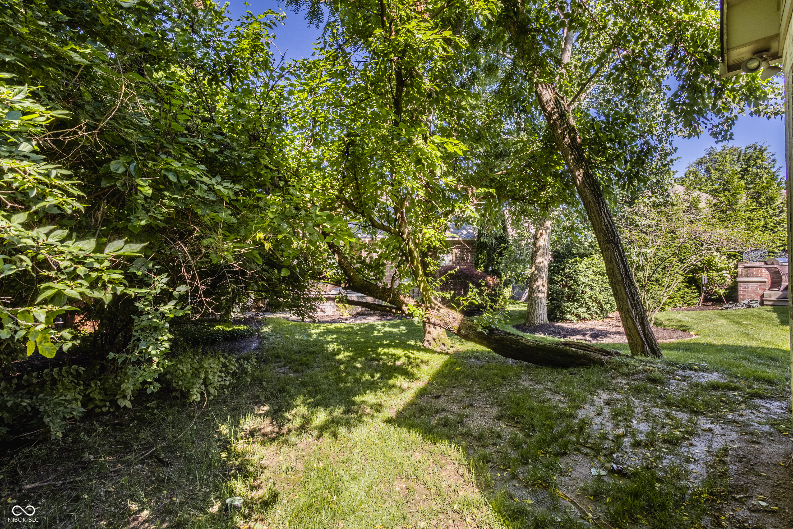 985 Oscar Lane