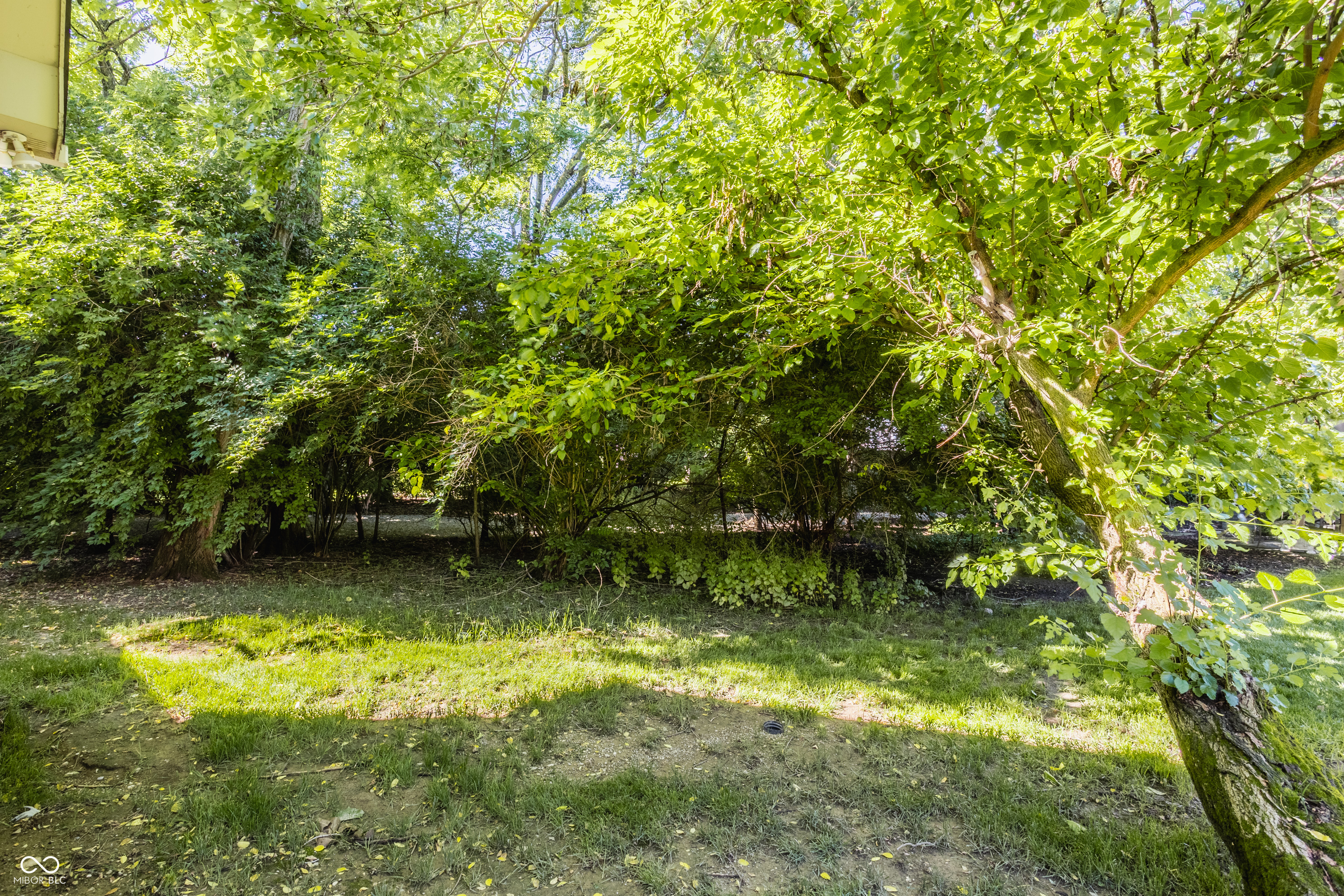 985 Oscar Lane