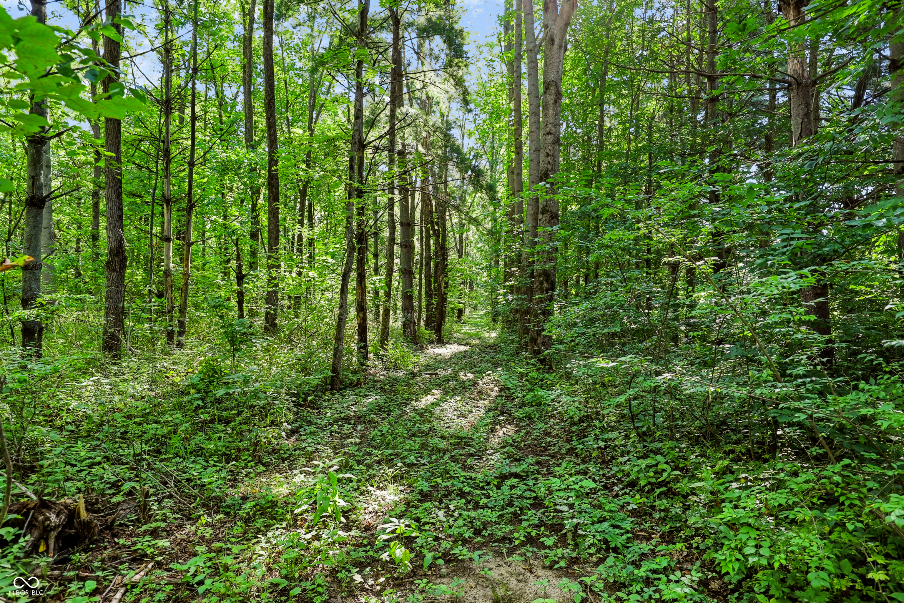 3205 Belle Arbres Lane
