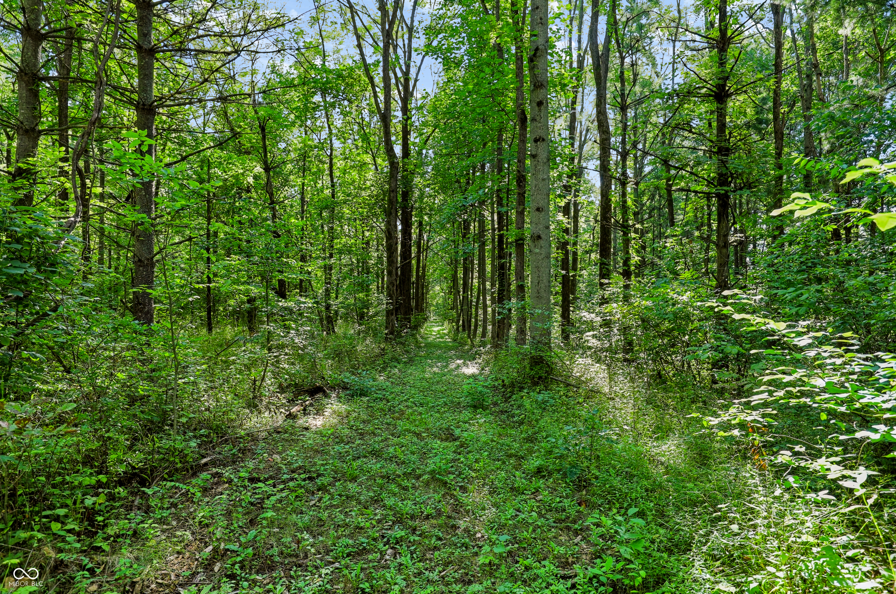 3205 Belle Arbres Lane